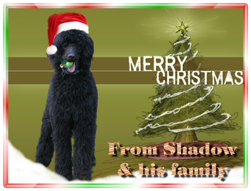 Name:  shadow-christmas-card-3.jpg
Views: 39926
Size:  291.5 KB