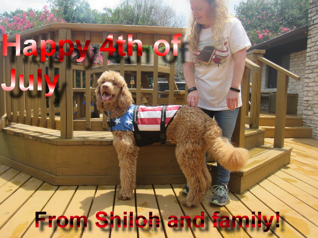 Name:  shiloh-july-4th.jpg
Views: 386
Size:  243.7 KB