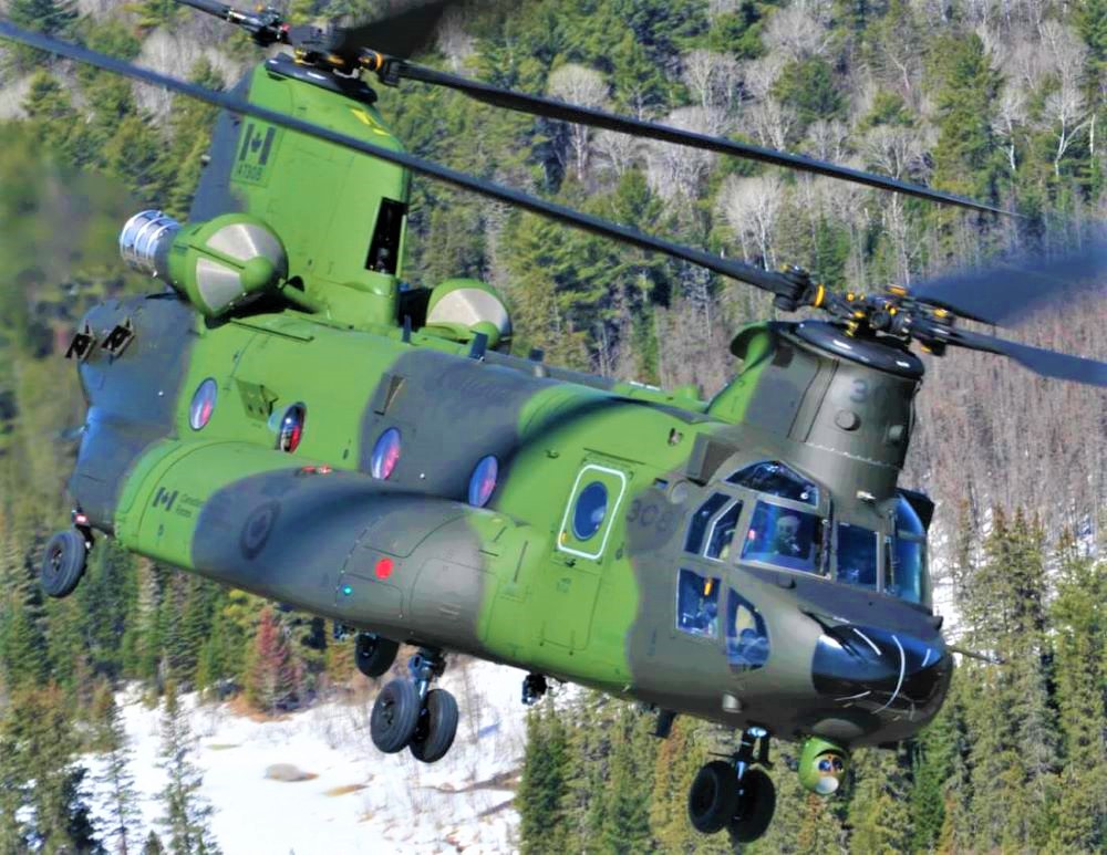 Name:  Chinook..jpg
Views: 2773
Size:  226.4 KB