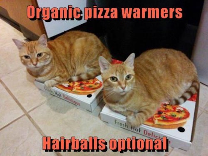 Name:  hairballs-not-optional-if-you-dont-share.jpeg
Views: 1375
Size:  77.8 KB