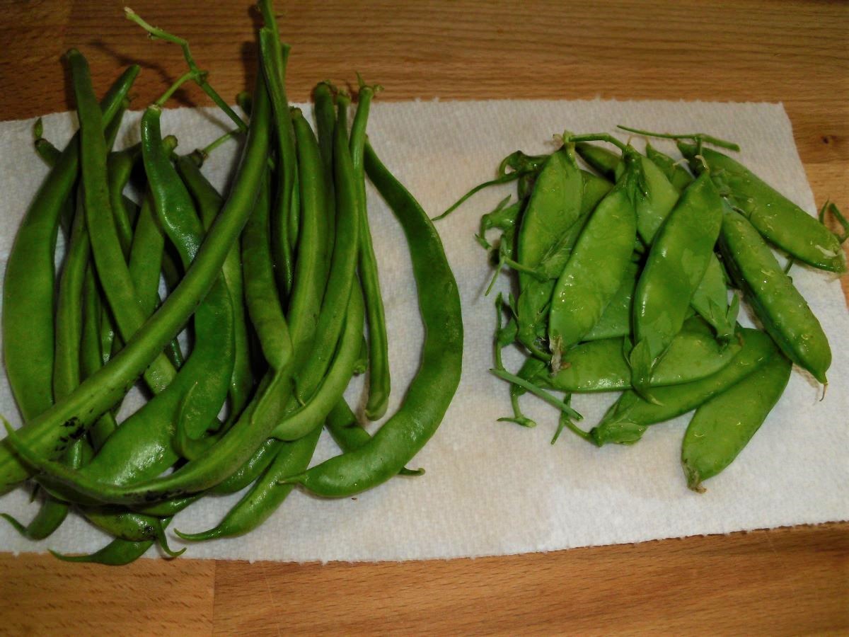 Name:  Beans and peas..JPG
Views: 421
Size:  220.7 KB