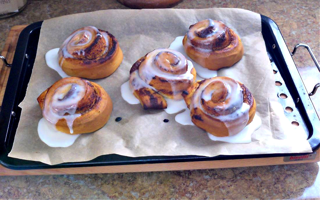 Name:  Cinnabuns..jpg
Views: 359
Size:  311.4 KB