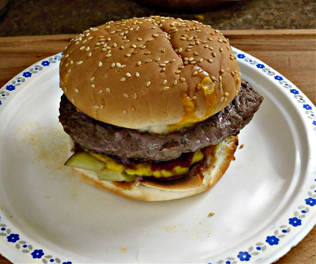 Name:  Burger..jpg
Views: 329
Size:  348.9 KB