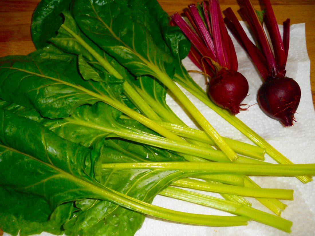 Name:  Chard and beets..jpg
Views: 281
Size:  432.9 KB