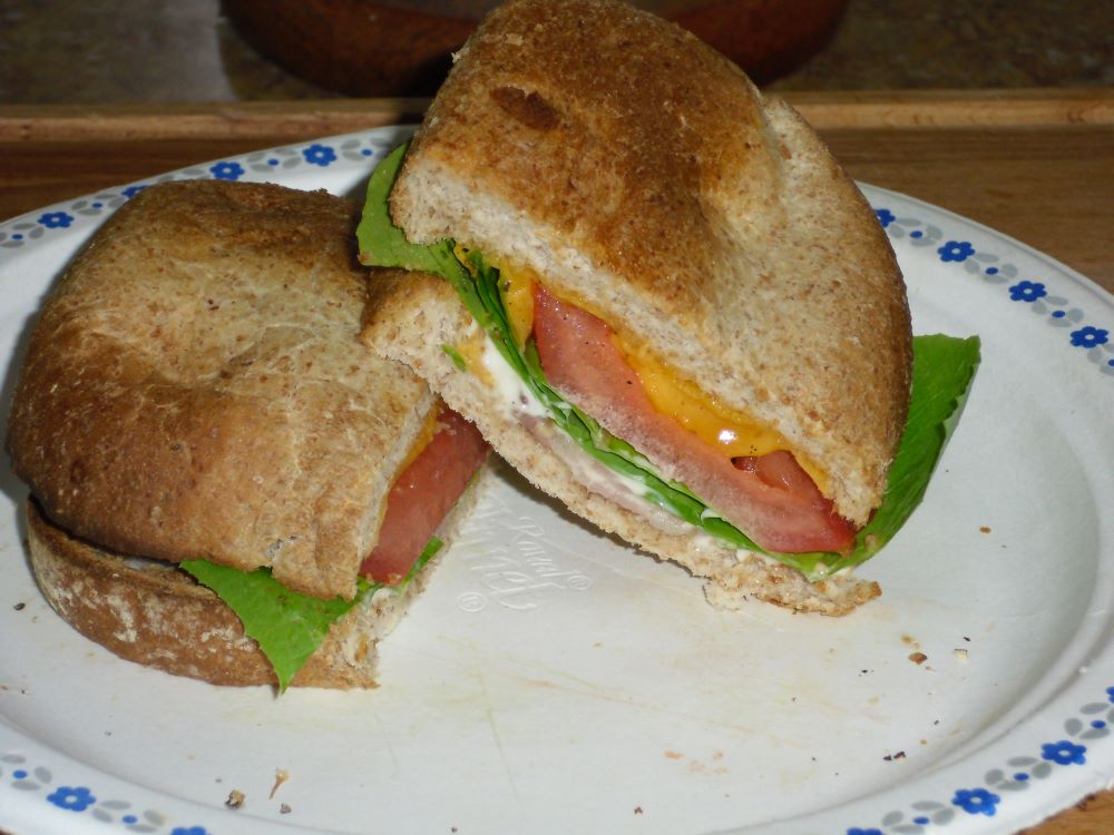 Name:  BLT.jpg
Views: 199
Size:  101.4 KB