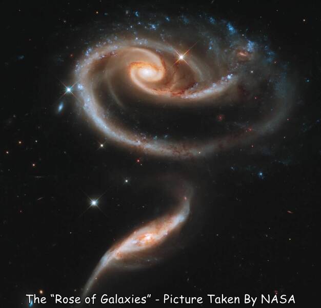 Name:  Rose of galaxies..jpg
Views: 1686
Size:  23.8 KB