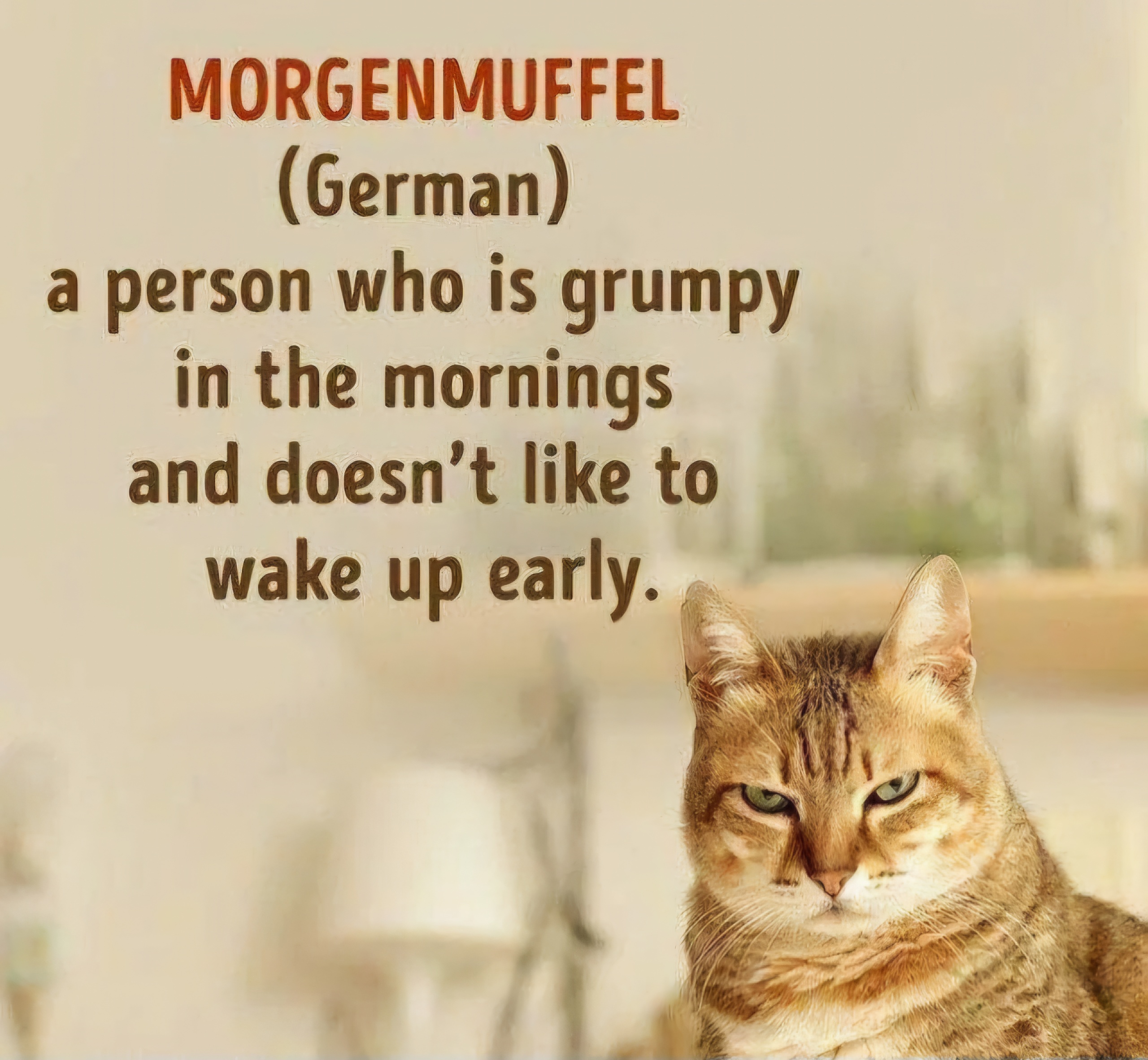 Name:  Morgenmuffel.jpg
Views: 1311
Size:  988.9 KB