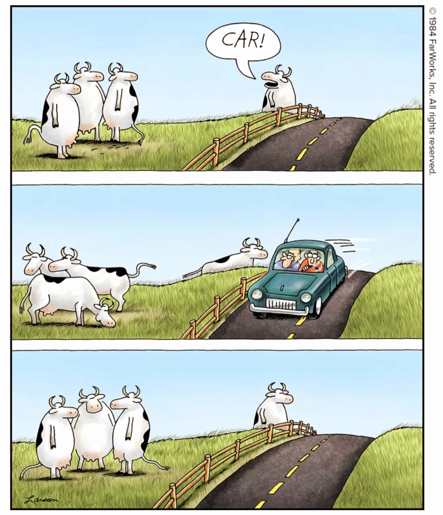 Name:  Cows_Car.jpg
Views: 26
Size:  499.5 KB