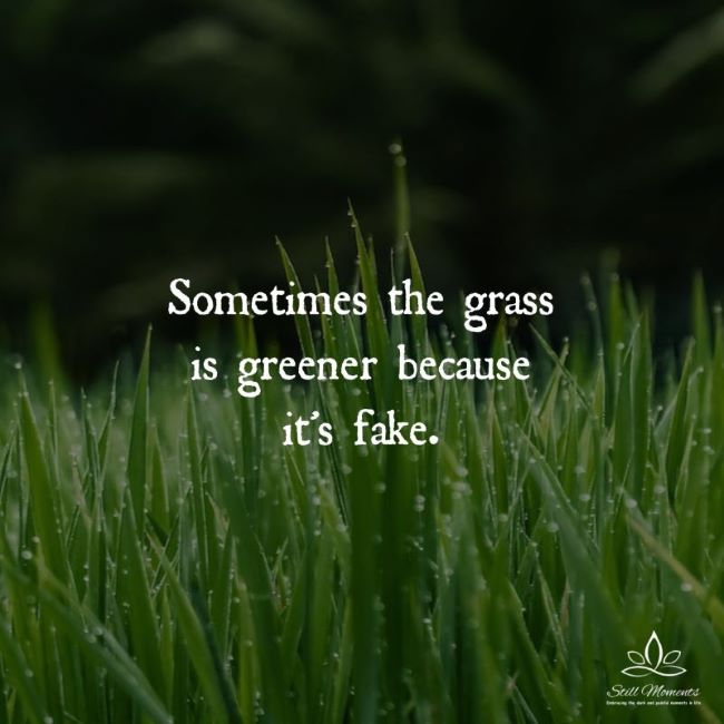 Name:  fakegrass.jpg
Views: 116
Size:  47.5 KB