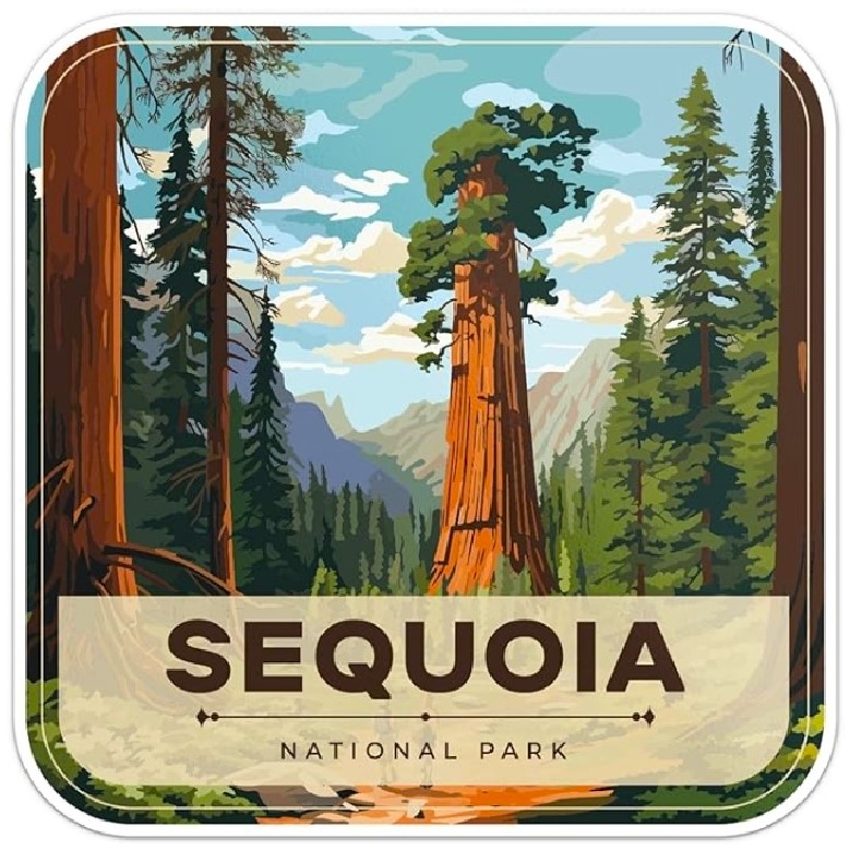 Name:  181-20240930_084400-Sequoia(5).jpg
Views: 150
Size:  171.4 KB