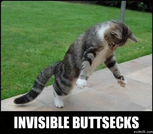 Name:  Invisible_buttsecks.jpg
Views: 24494
Size:  35.0 KB