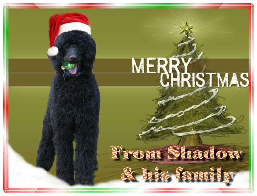 Name:  shadow-christmas-card-3.jpg
Views: 33520
Size:  291.5 KB