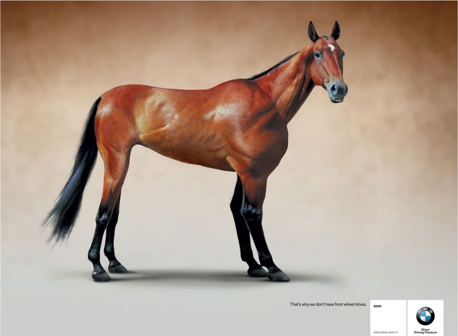 Name:  horse.jpg
Views: 5021
Size:  47.7 KB