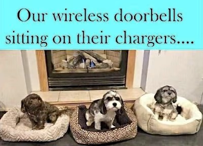 Name:  dog-doorbells.png
Views: 963
Size:  206.9 KB