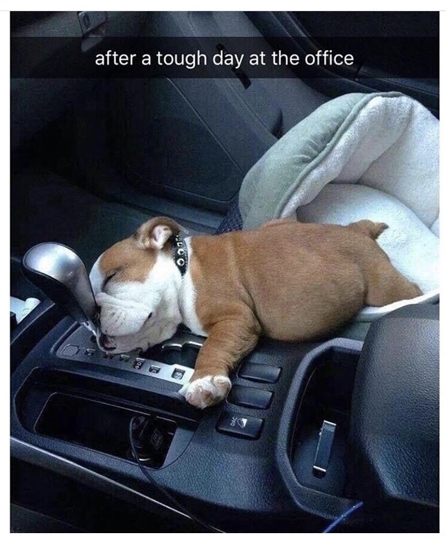 Name:  Tough Day..jpg
Views: 655
Size:  181.9 KB