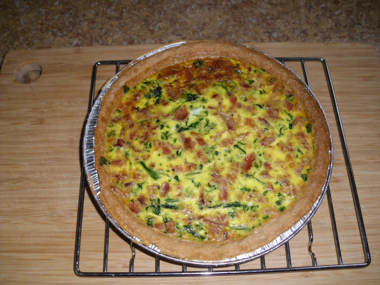 Name:  quiche..JPG
Views: 255
Size:  1,000.2 KB