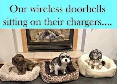 Name:  dog-doorbells.png
Views: 965
Size:  206.9 KB