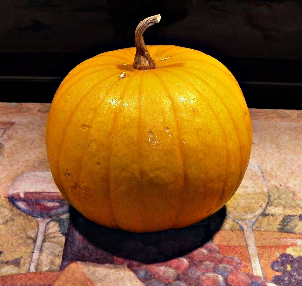 Name:  Pumpkin..jpg
Views: 371
Size:  121.4 KB