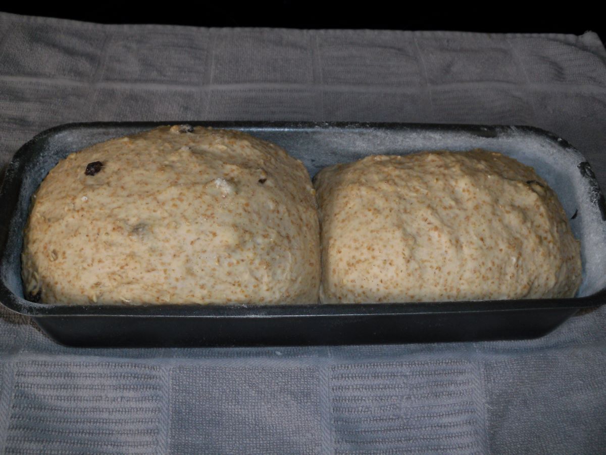 Name:  Bread.JPG
Views: 121
Size:  145.0 KB