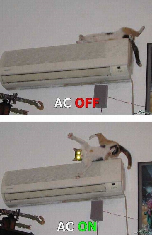 Name:  AC on off.jpg
Views: 563
Size:  216.1 KB