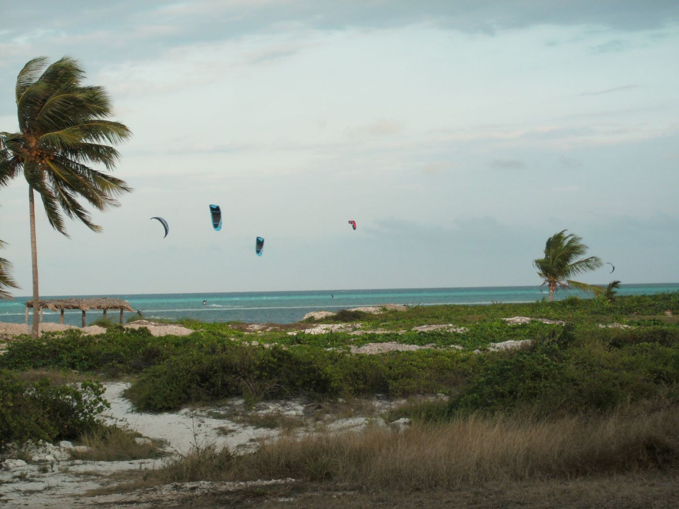 Name:  Kite Surfing.JPG
Views: 1374
Size:  161.8 KB