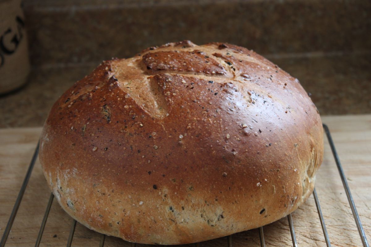 Name:  Olive bread 2.JPG
Views: 3134
Size:  118.8 KB