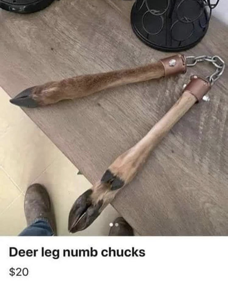 Name:  DEER.jpeg
Views: 1899
Size:  404.7 KB