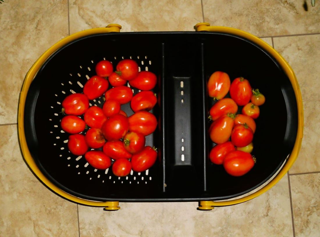 Name:  Tomatoes.jpg
Views: 523
Size:  107.0 KB