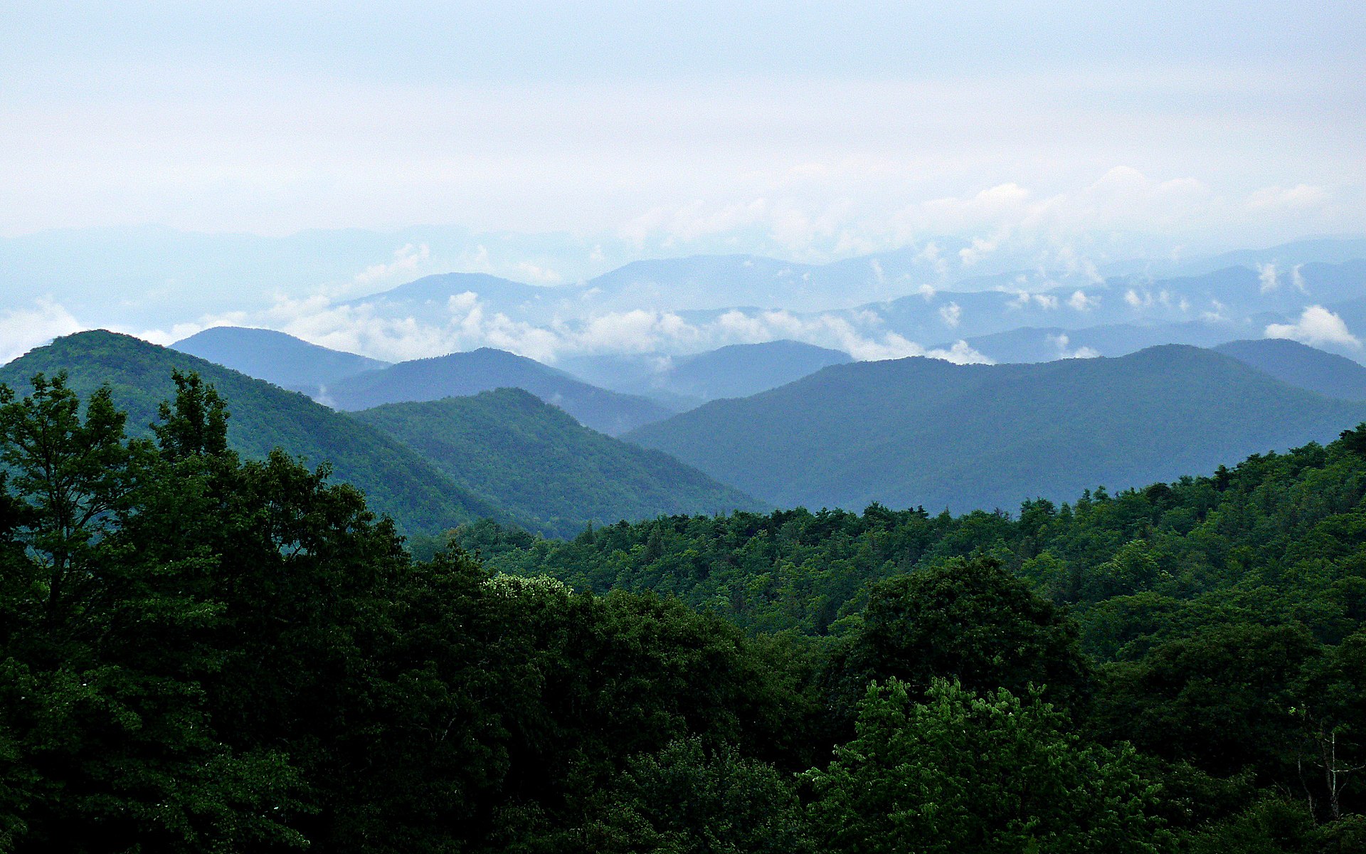 Name:  Rainy_Blue_Ridge-27527.jpg
Views: 8701
Size:  549.4 KB